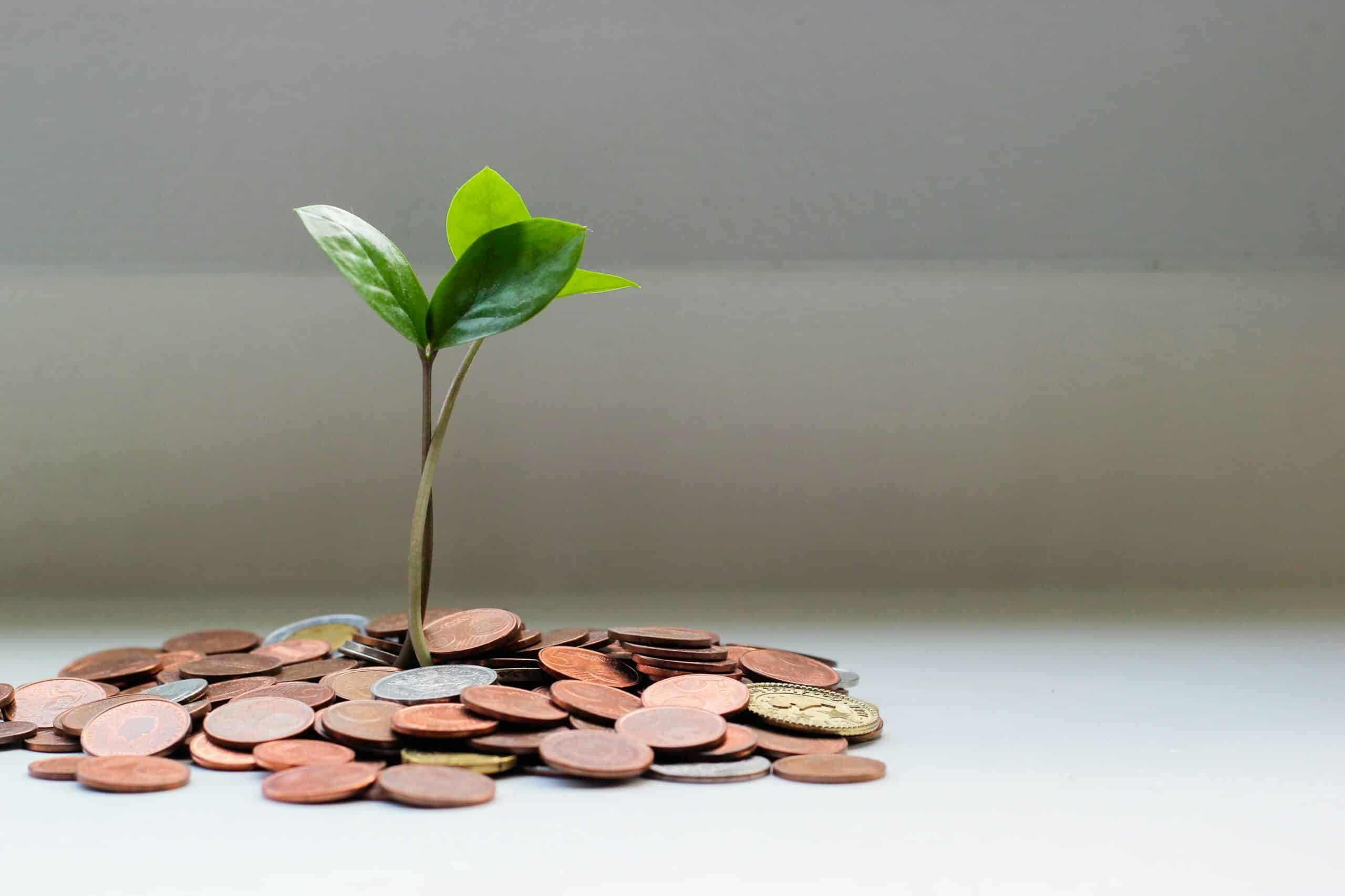 micheile-henderson-lZ_4nPFKcV8-unsplash Faites des économies